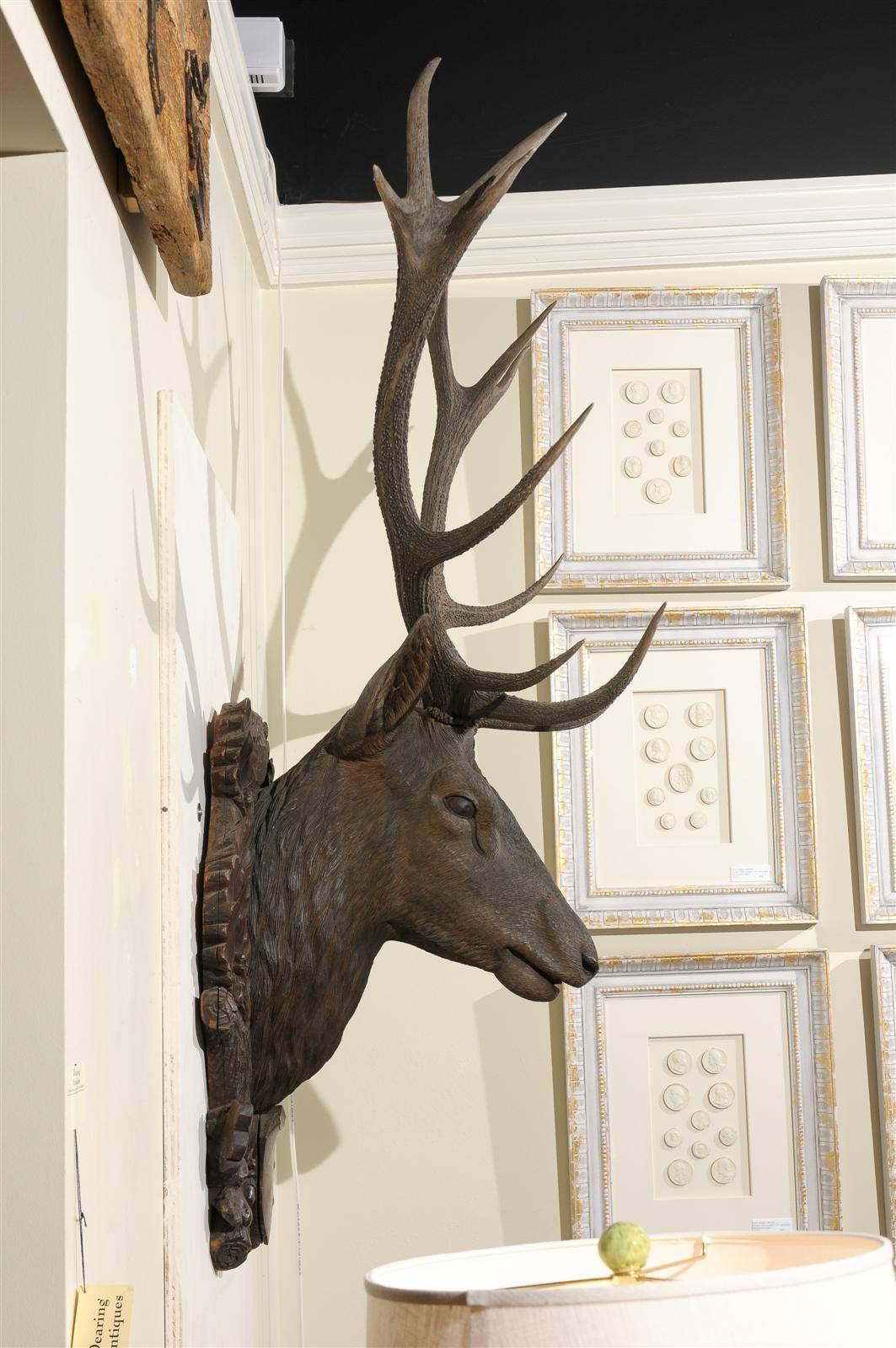Large Black Forest Stag Head, circa 19th c 1