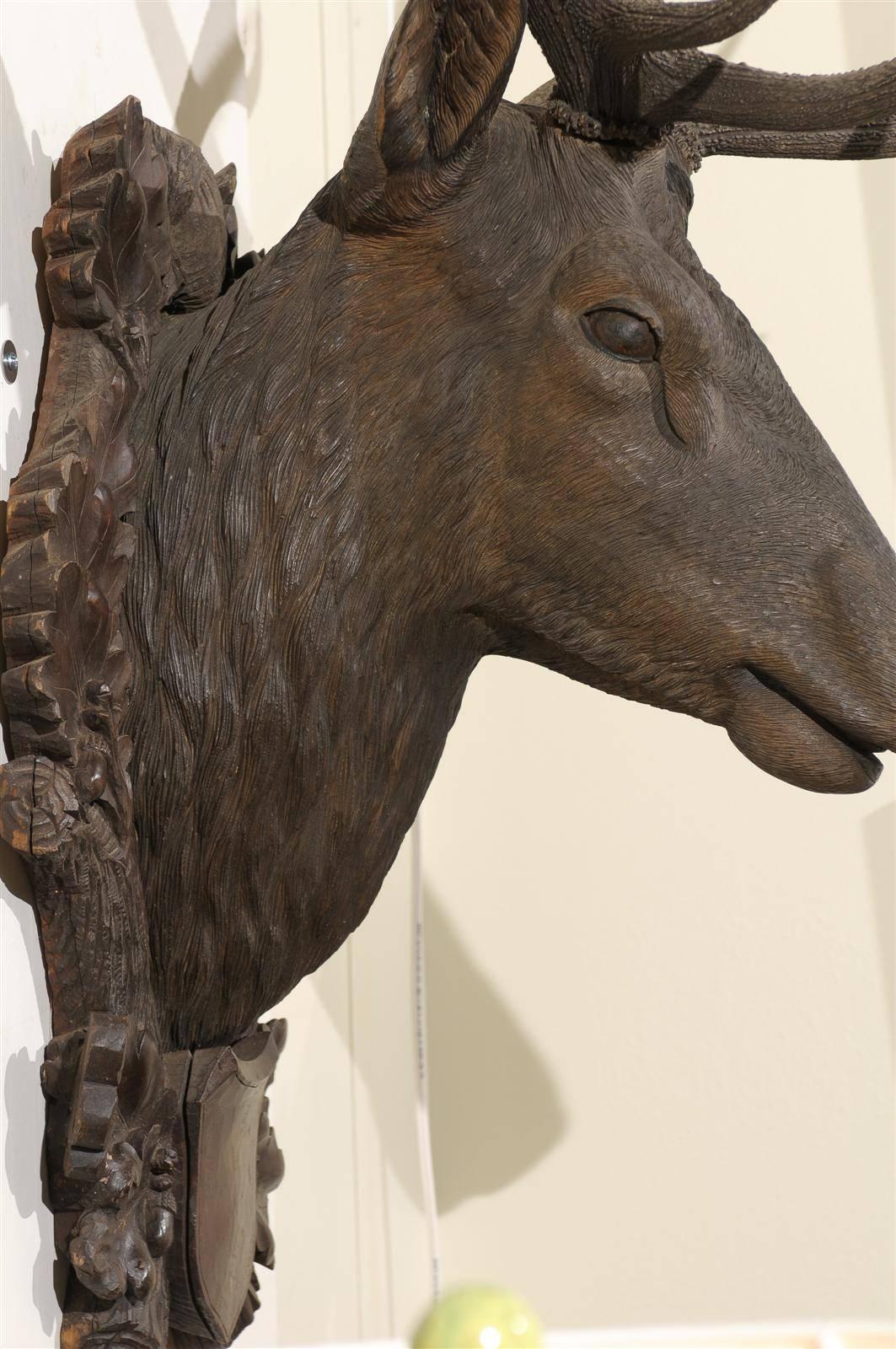 Large Black Forest Stag Head, circa 19th c 2