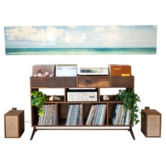 Walnut Vinyl Storage  Stereo Console