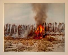 Richard Misrach Photo Desert Fire #1 Burning Palms