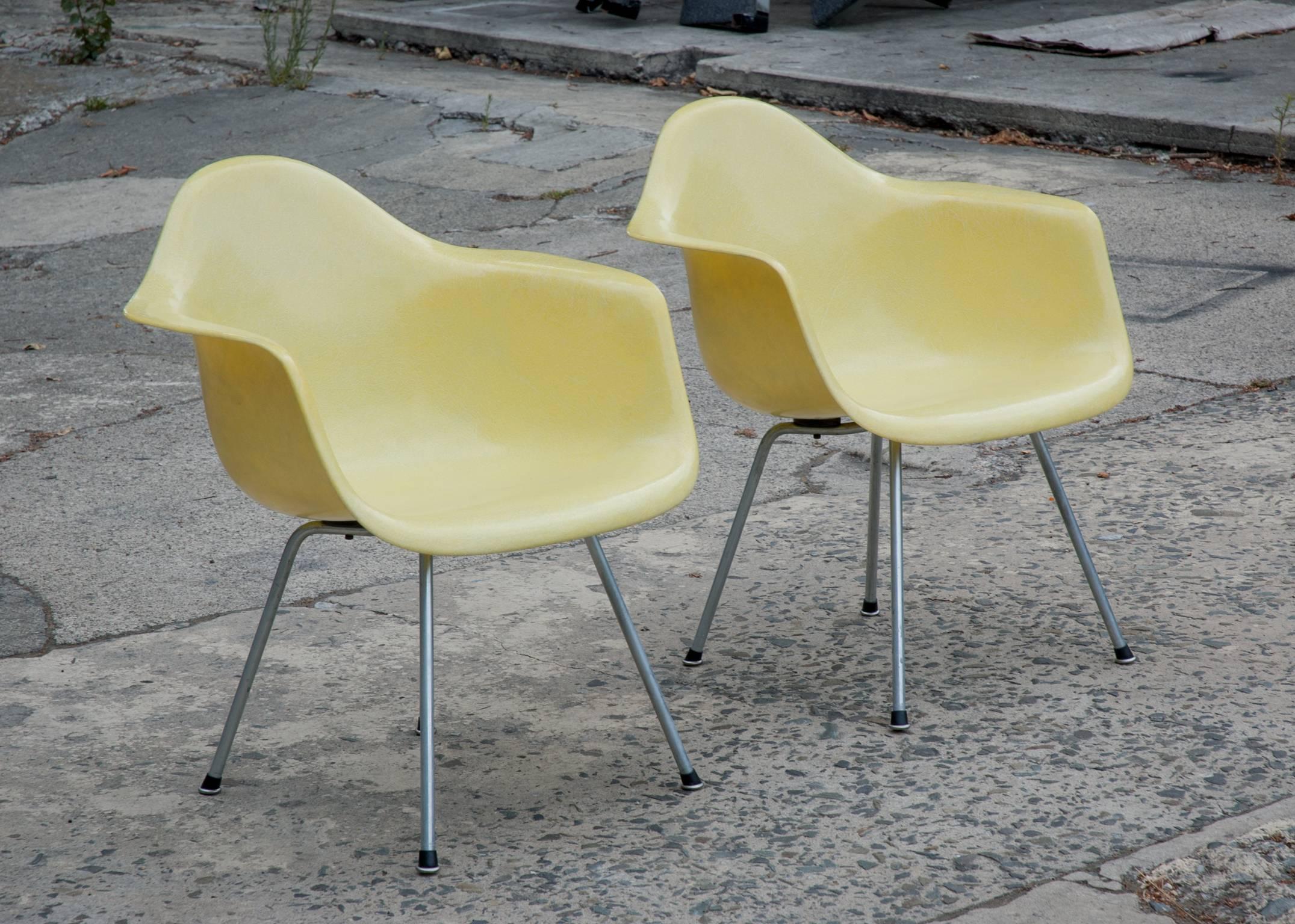 Early pair of pristine Charles Eames transitional fiberglass armchairs in translucent yellow with bright nickel-plated X-bases.
All original shock-mounts. No repairs. And no excuses as in 