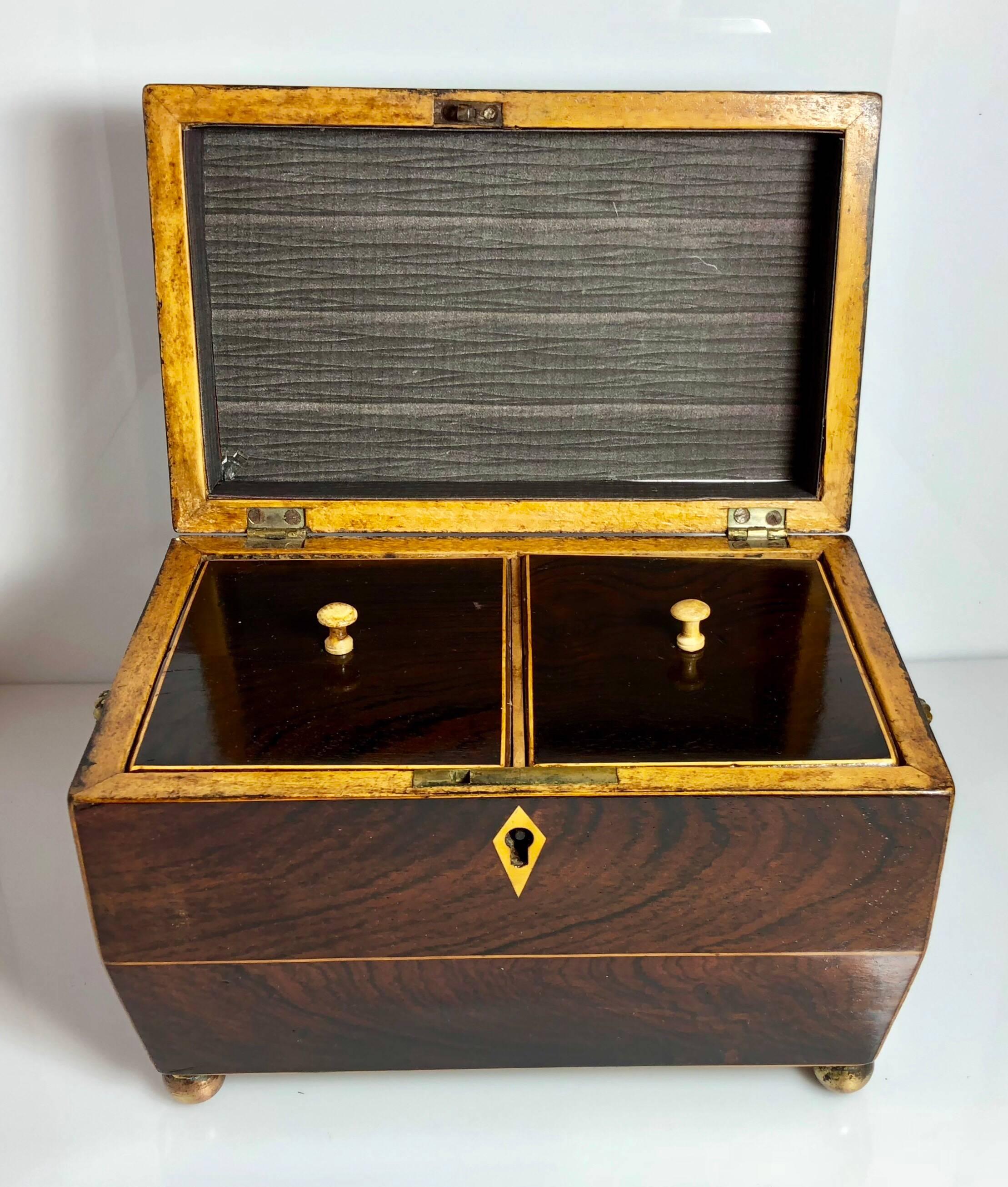 Antique English Rosewood Tea Caddy with Brass Mounts, circa 1880 3