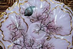 Oyster Plate
