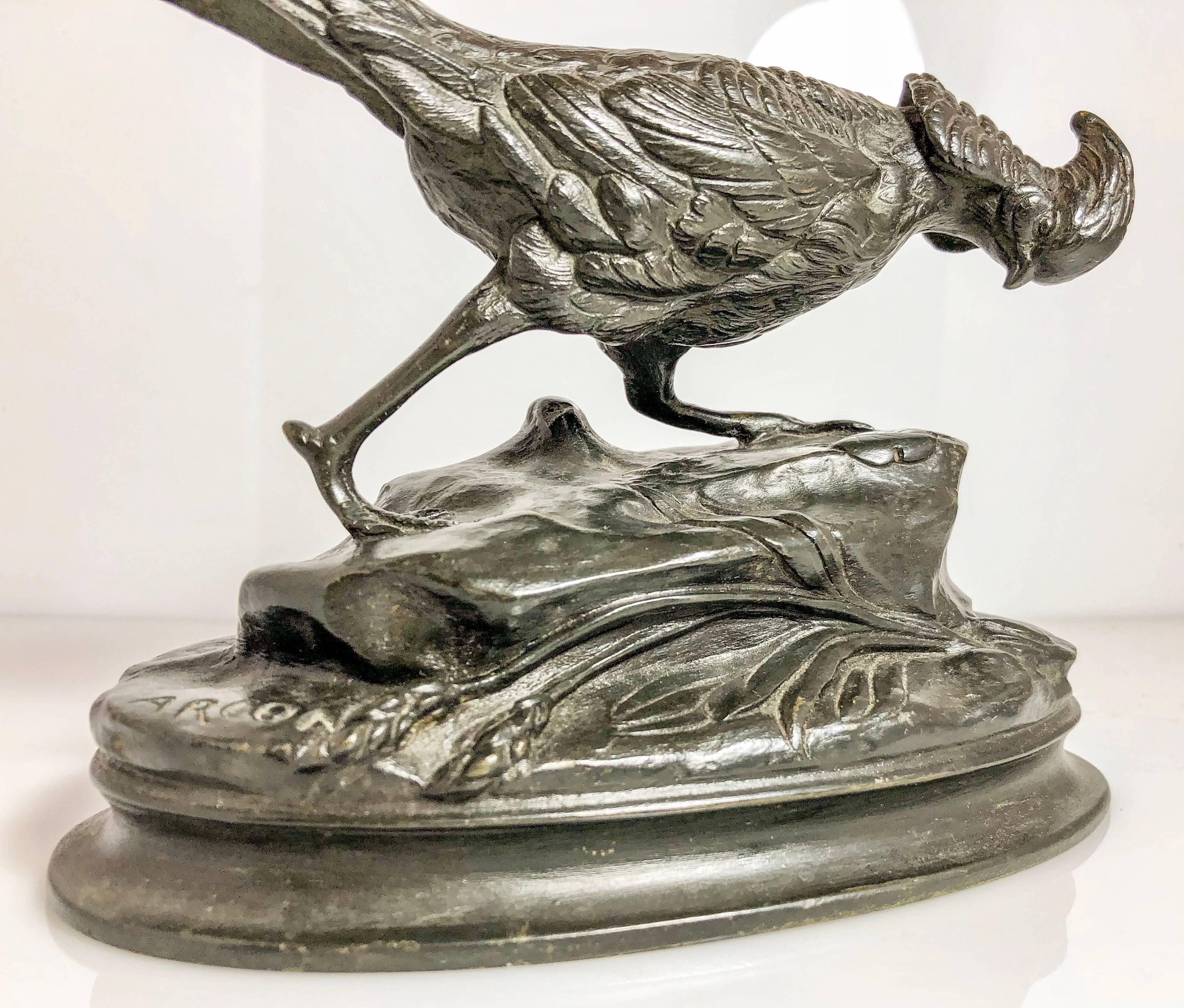 arcon bird