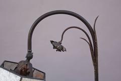 1920s Adjustable Floor Lamp with Floral Motif