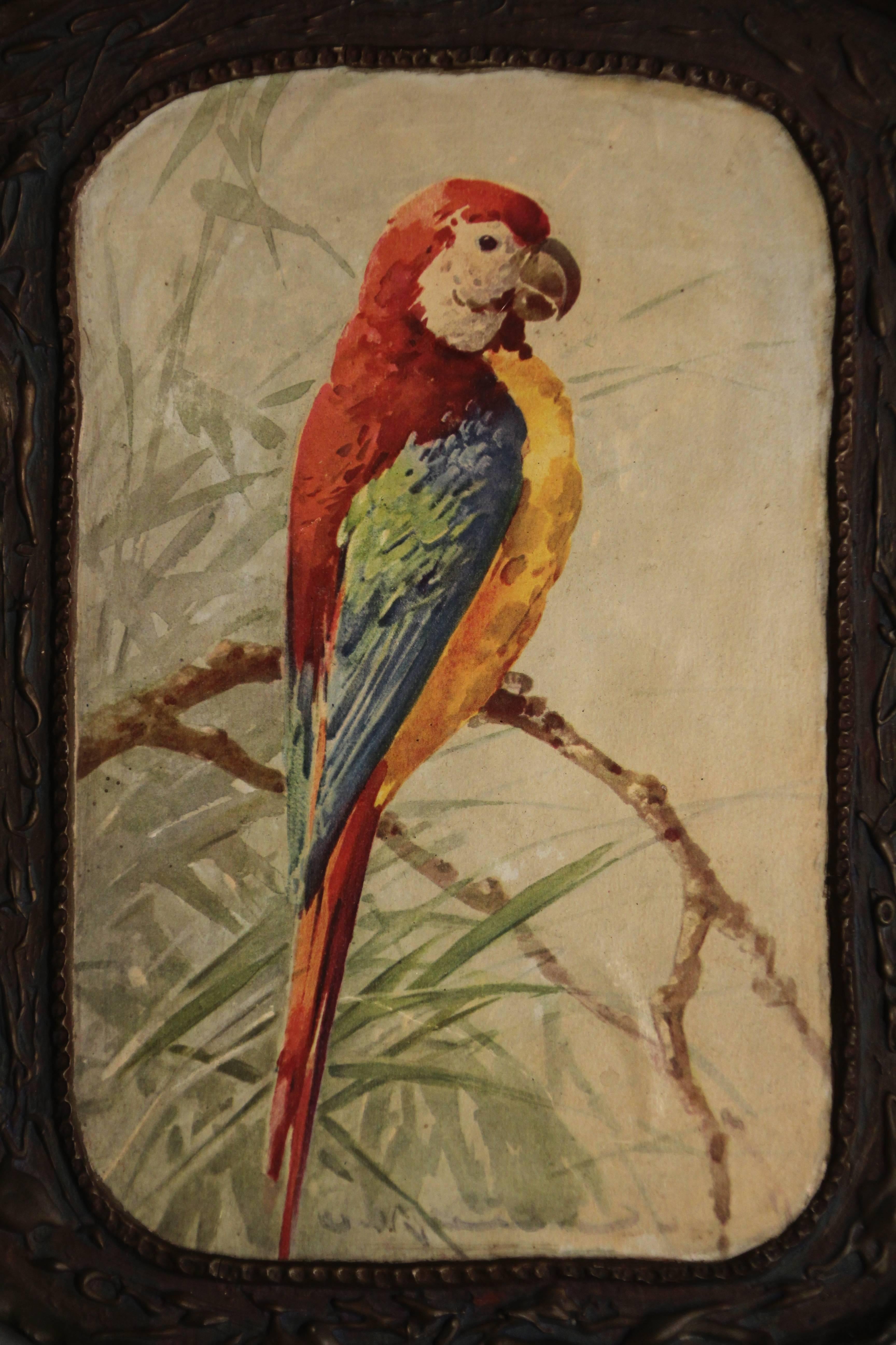 Print of parrot in original frame, circa 1920s.