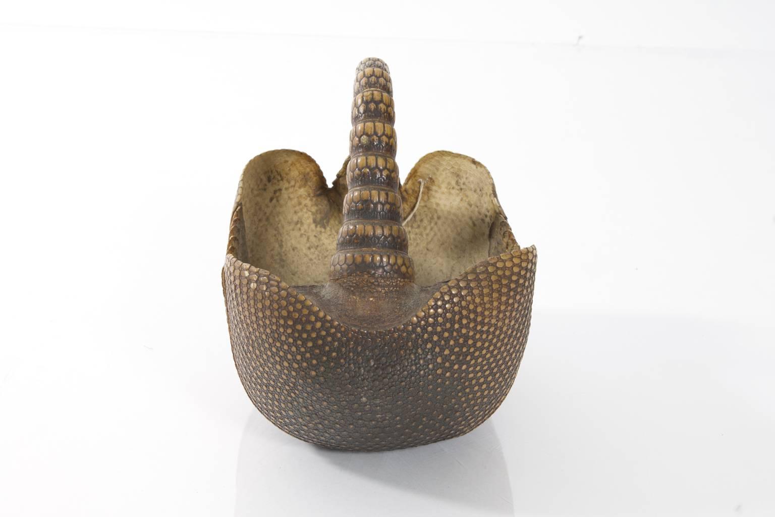 Basket made from the tanned carapace of an armadillo.
   