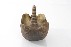 Armadillo Basket