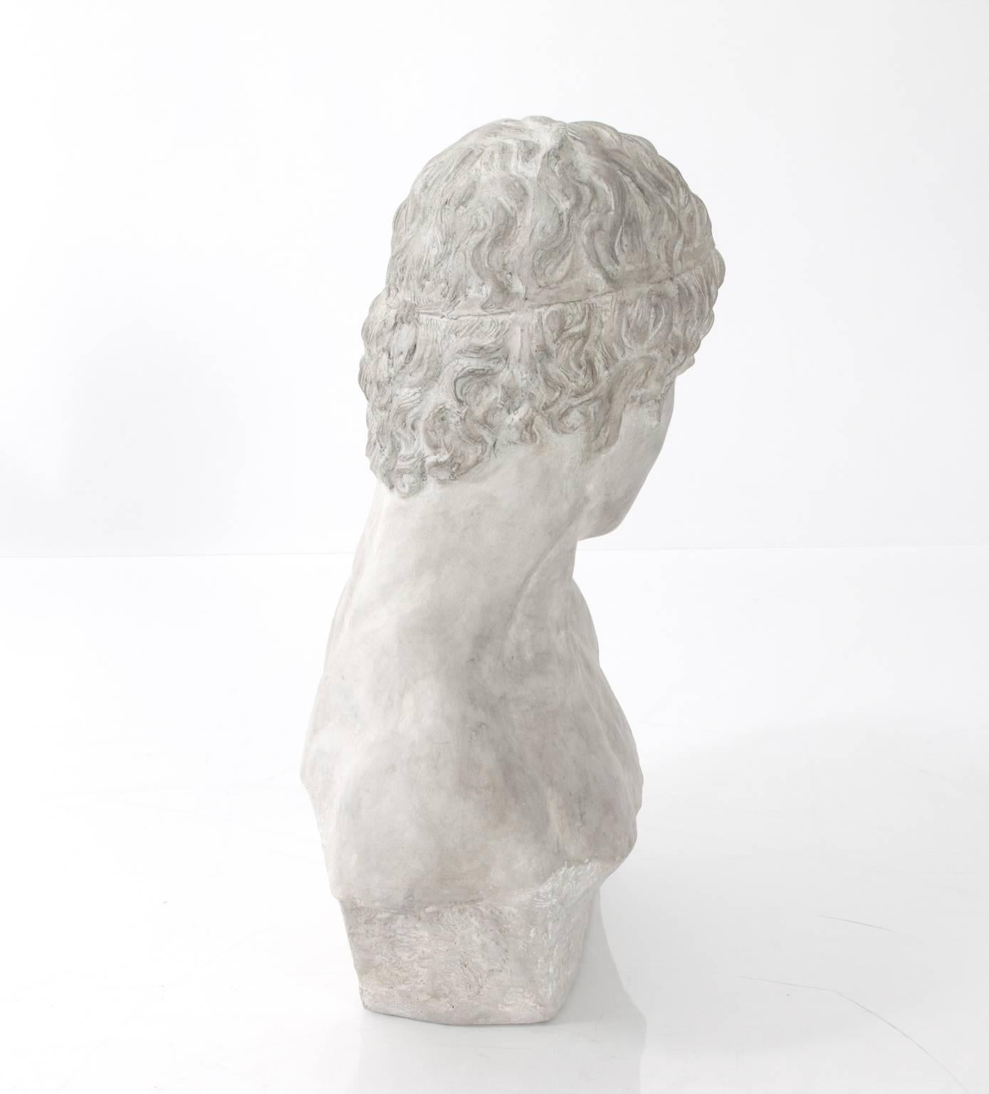 Plaster bust of a young male in the neoclassical style. Artist Unknown.