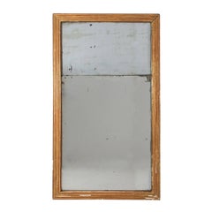 19th Century Gilt Reeded Mirror
