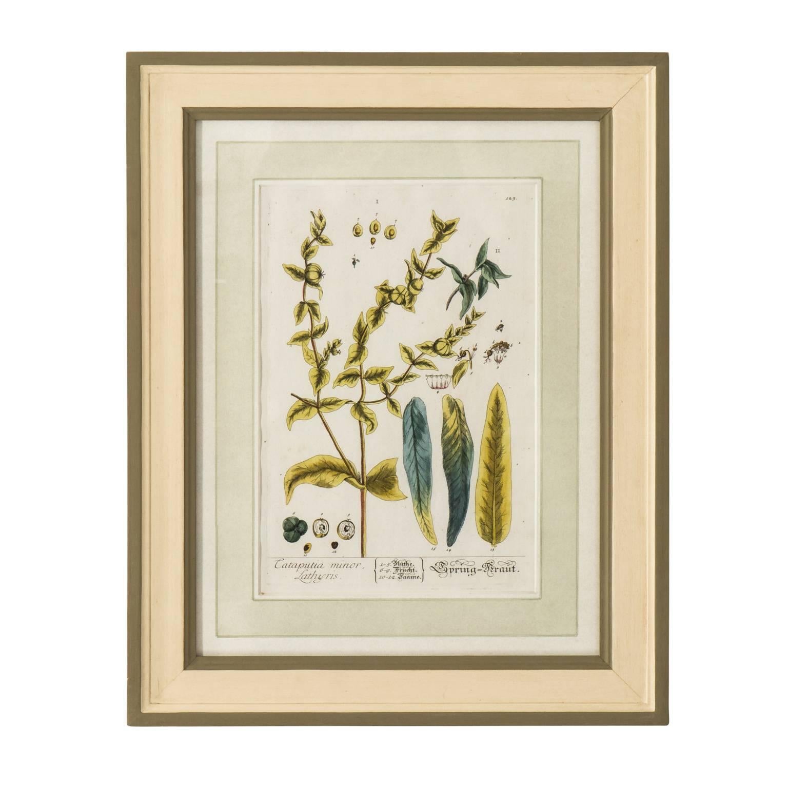 Set of Six Copper Plate Engravings of Herbs by N.F. Eisenberger Nuremberg In Good Condition For Sale In Stamford, CT