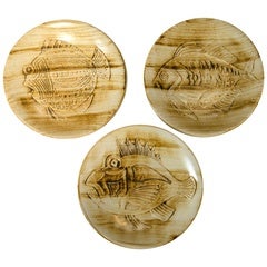 Longchamp Fish Plates