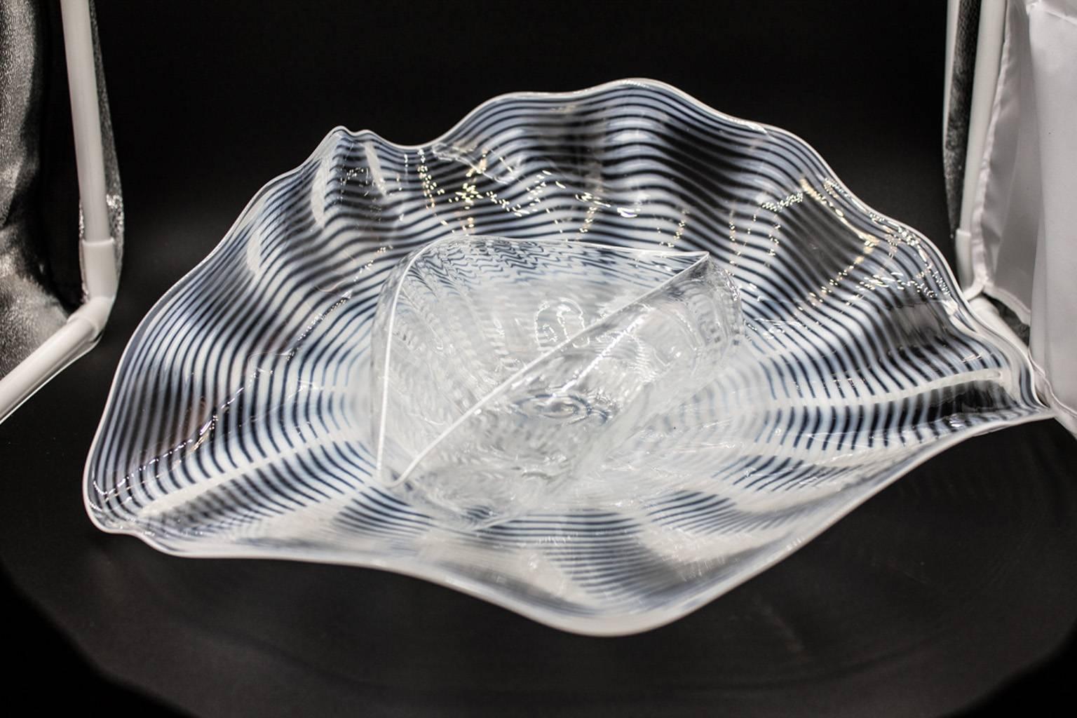 Two pieces by glass sculptor Dale Chihuly the larger of which is signed and dated 1984, seaform shapes clear glass with a white lip, the larger an 12 x 11 x 3" asymmetrical plate with ruffled and folded edge, and a spiral opaque white design,
