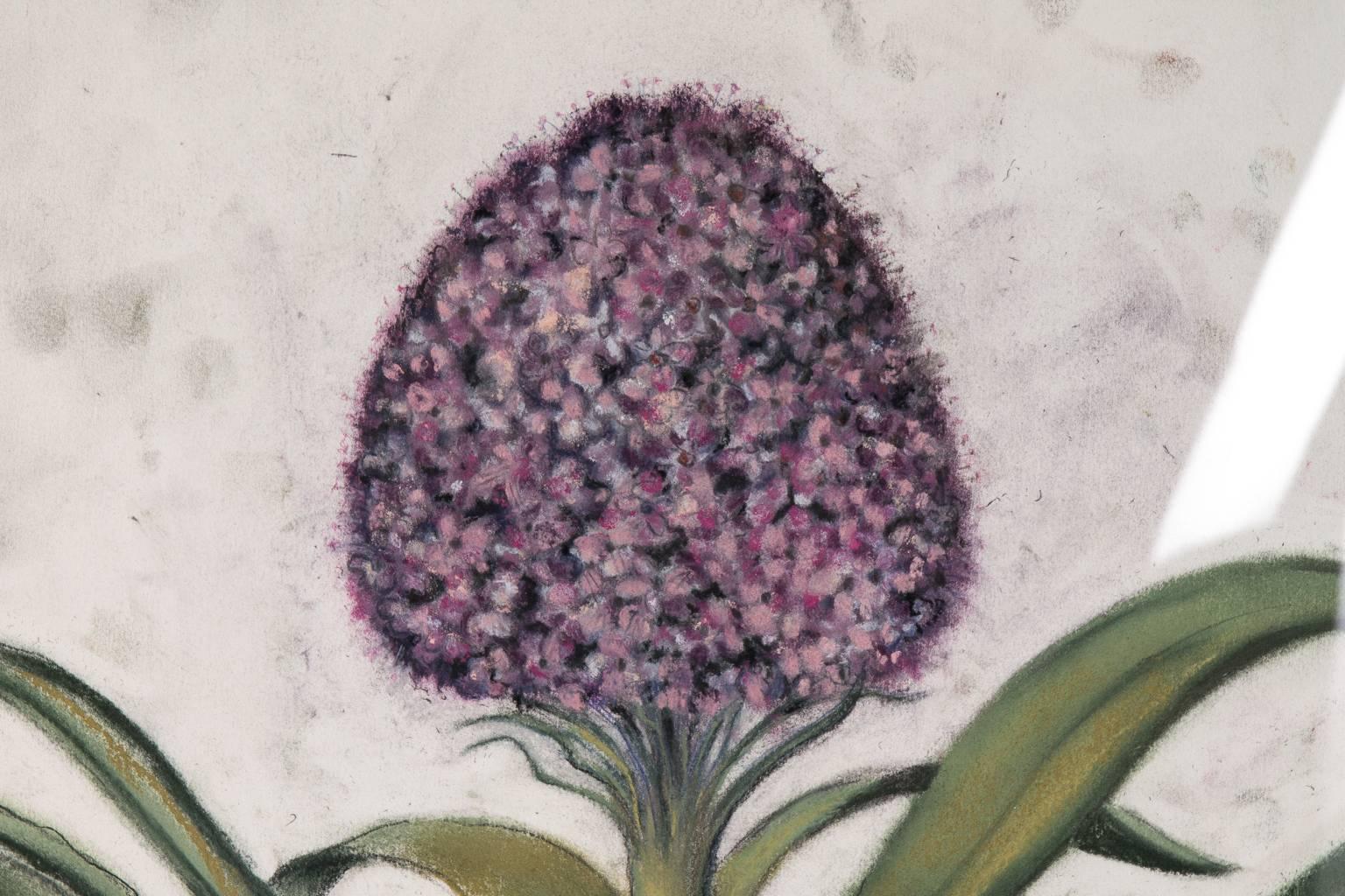 Framed botanical pastel drawing of a purple hyacinth by New York artist, Marianne Stikas.