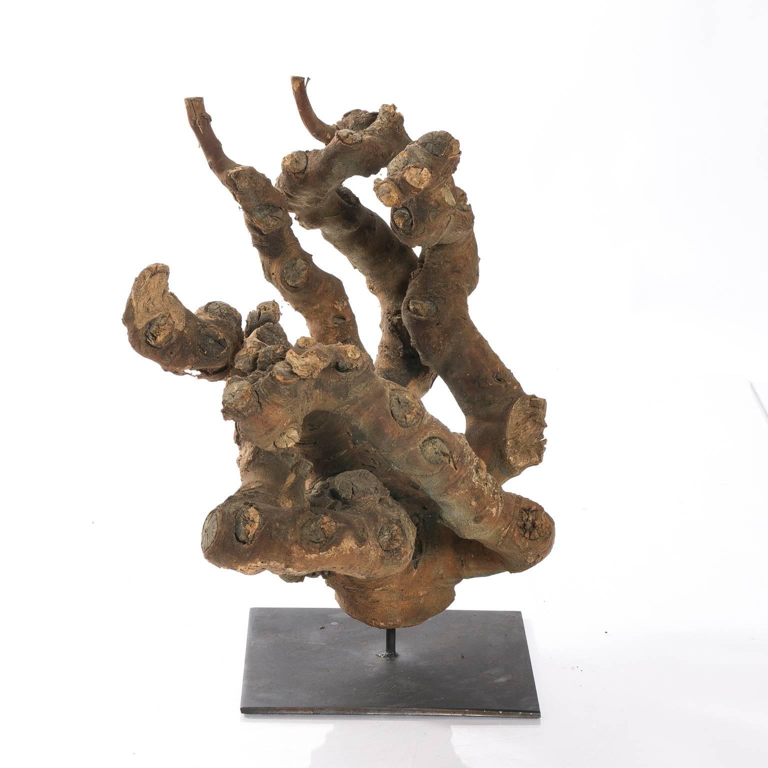 Root Sculpture In Excellent Condition For Sale In Stamford, CT