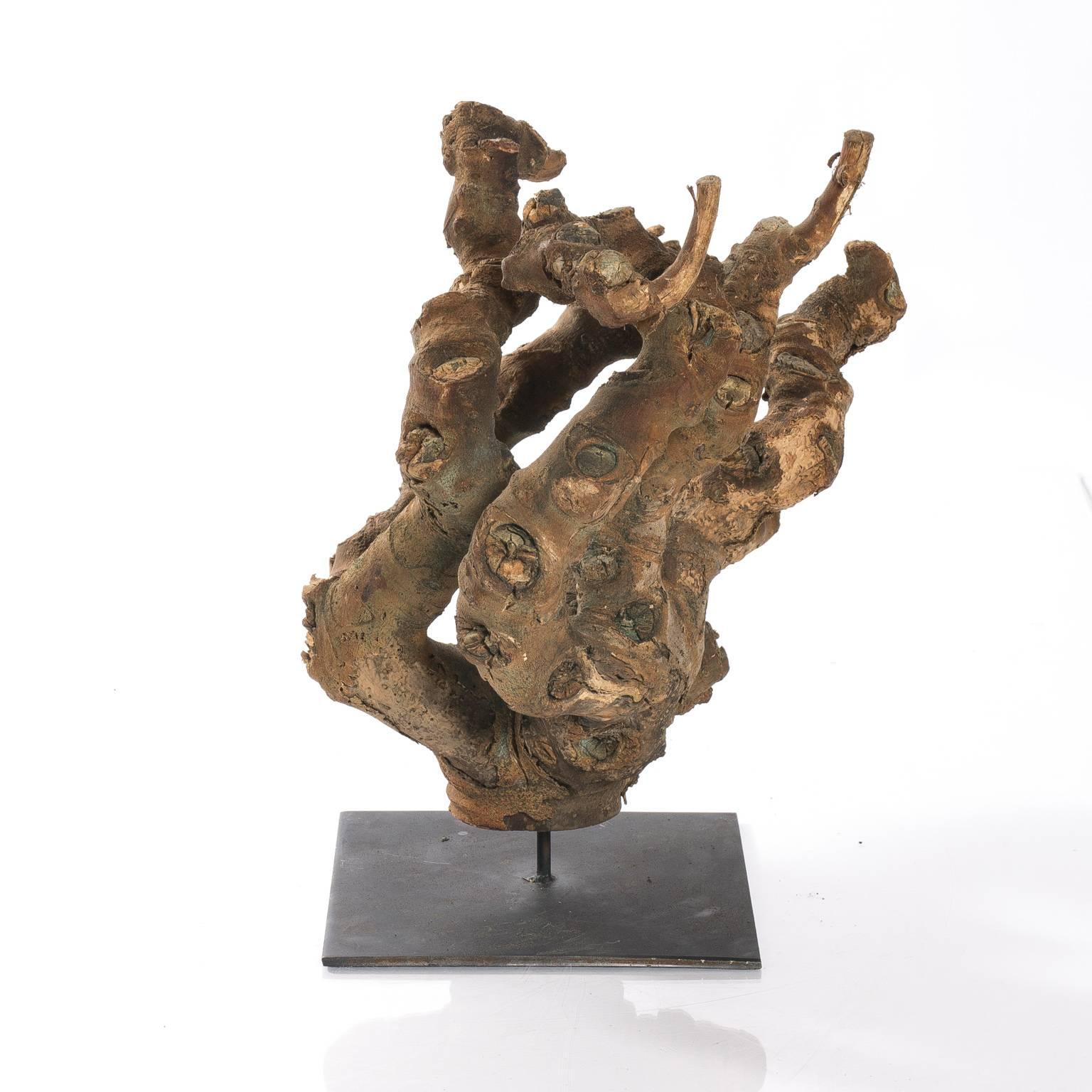 Iron Root Sculpture For Sale