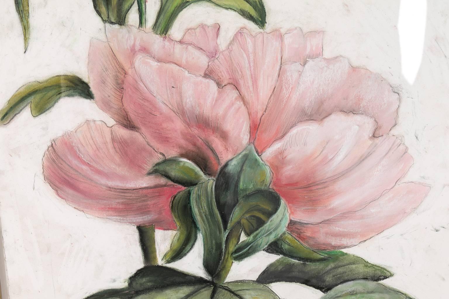 Drawing of a peony flower, by contemporary artist. Pastel on paper.
 