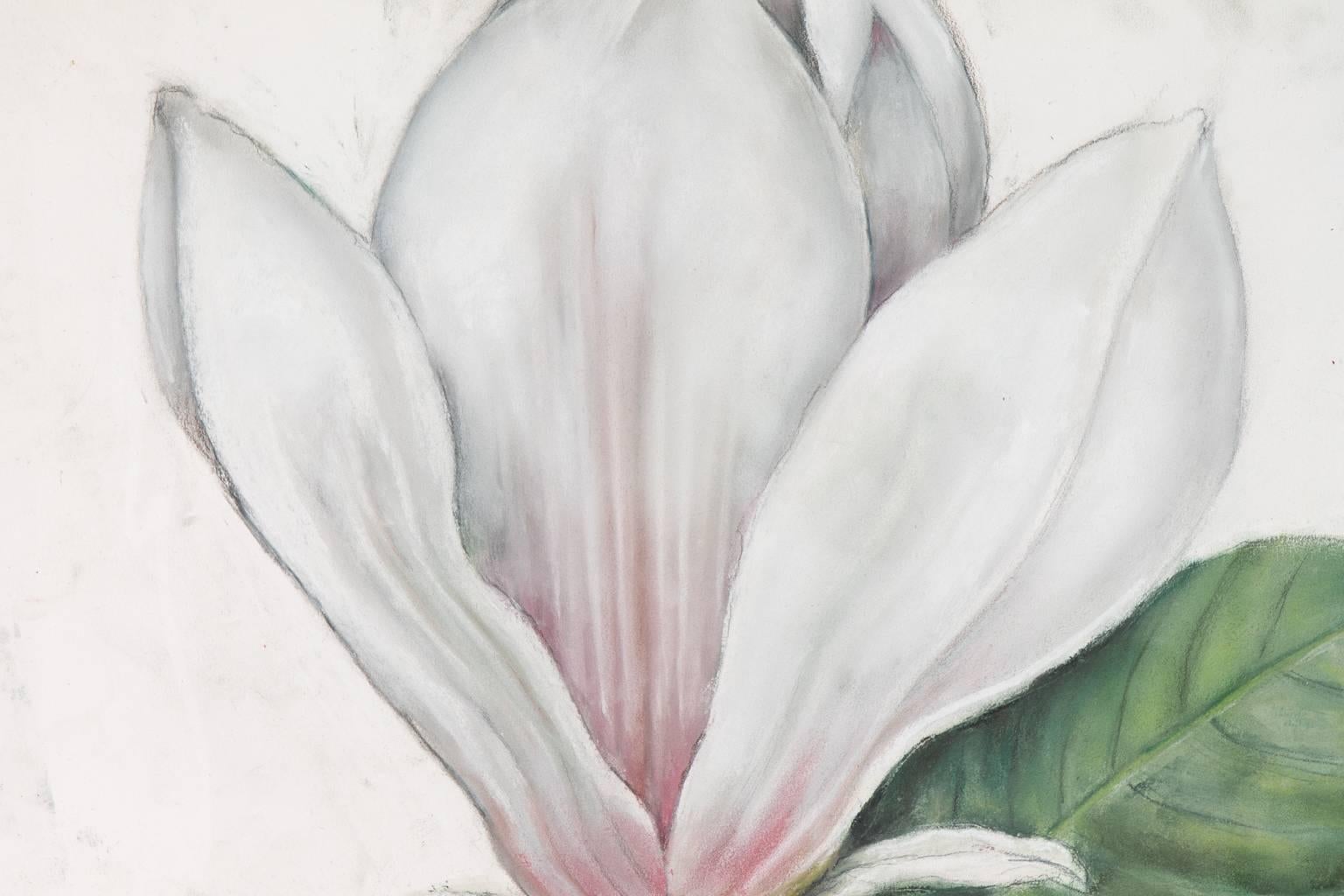 Drawing of a Magnolia flower by contemporary artist: Marianne Stikas. Signed and dated: 2017. Pastel on paper.
