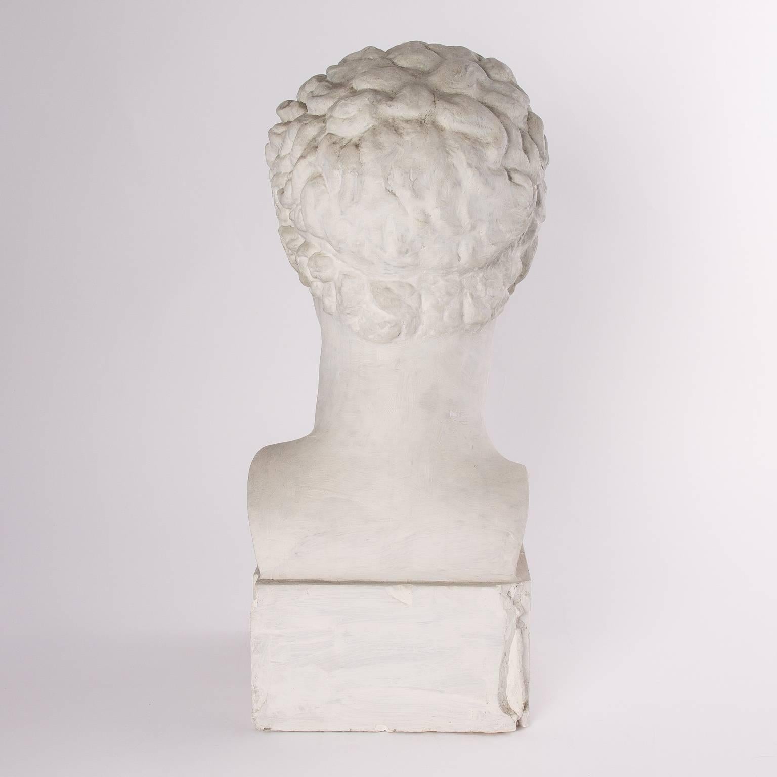 Plaster Neoclassical Male Bust