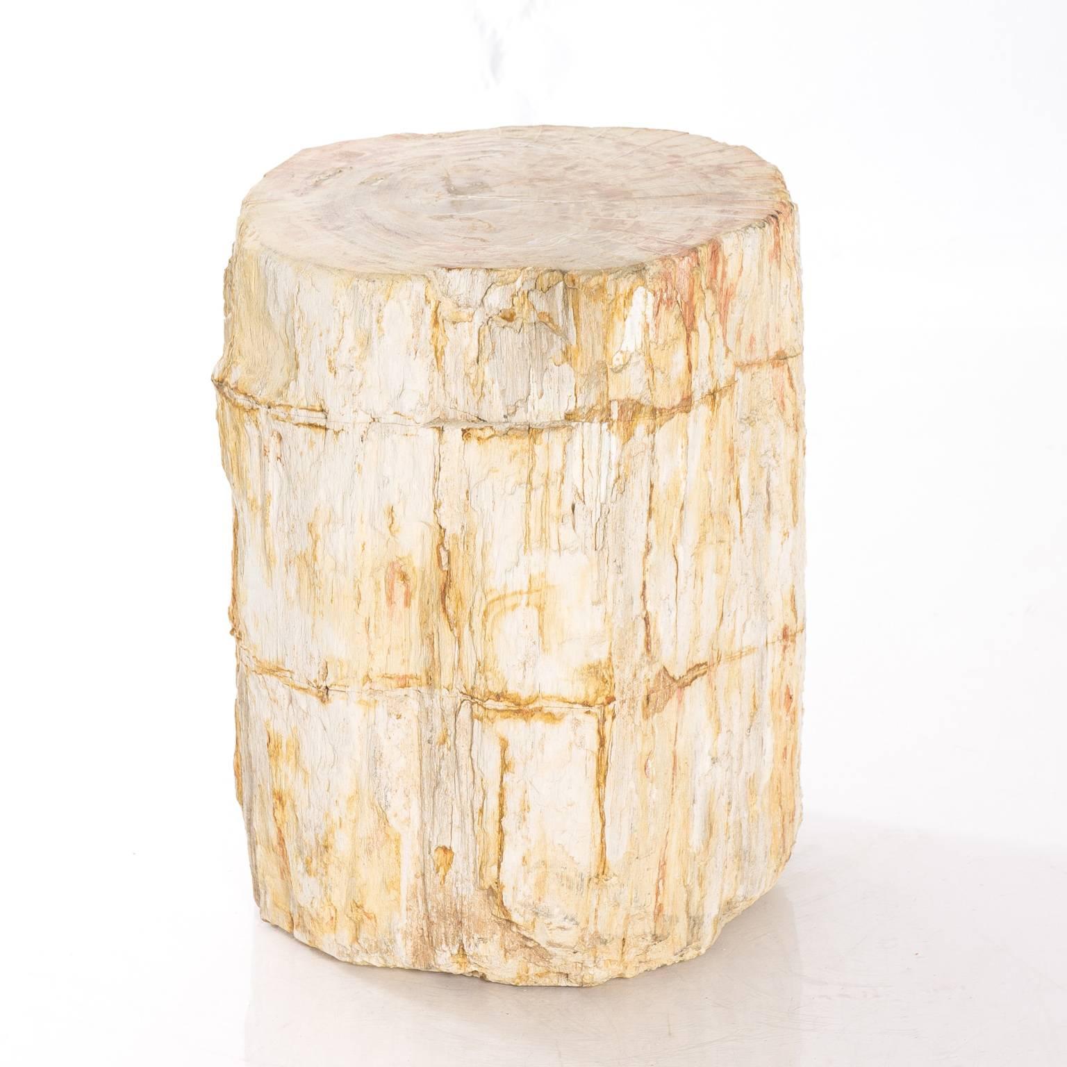 Contemporary petrified wood stool.
    
