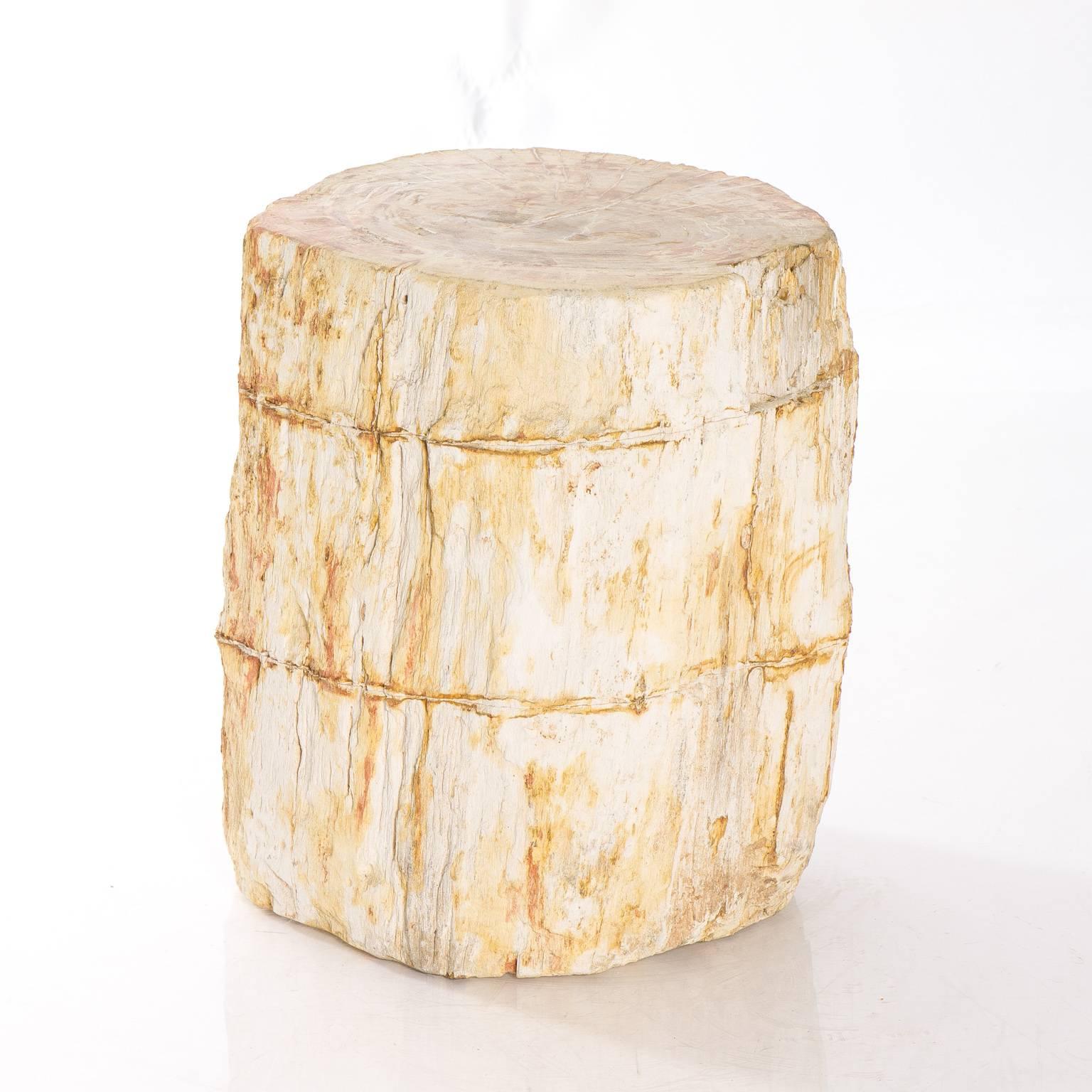 petrified wood stools