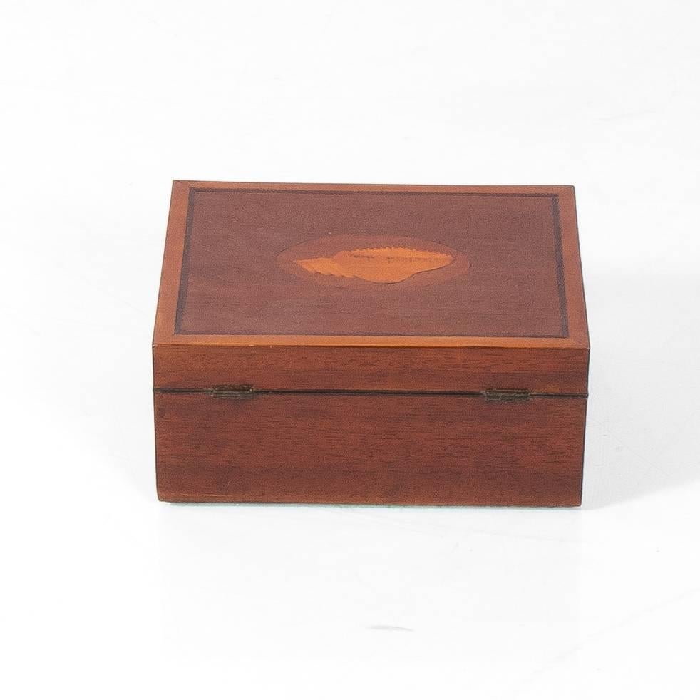 English mahogany box with shell design, circa 20th century.
 