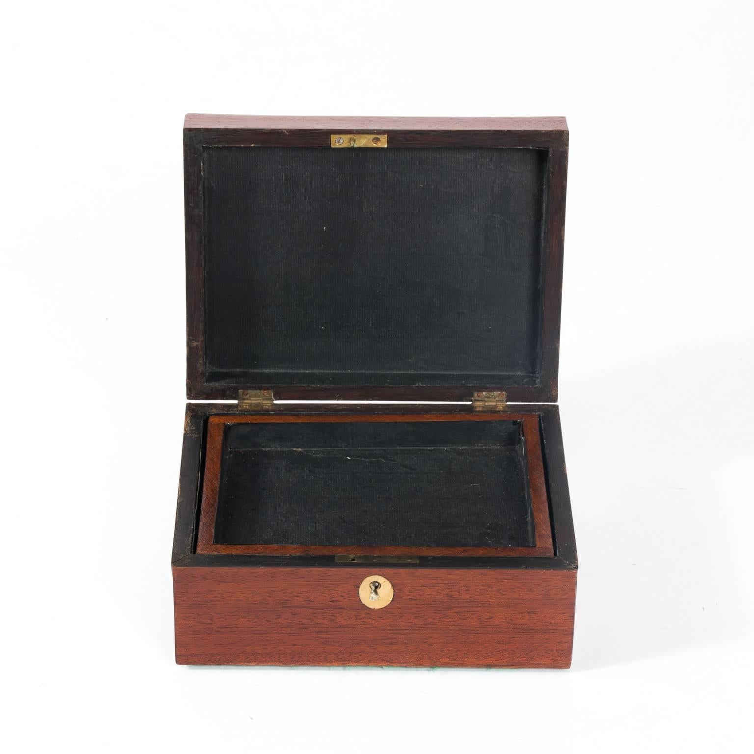 20th Century Mahogany Box with Shell Design