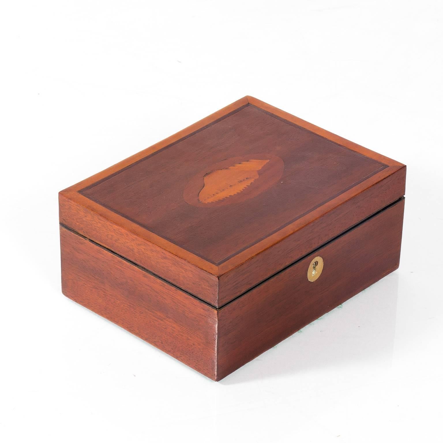 Mahogany Box with Shell Design 3