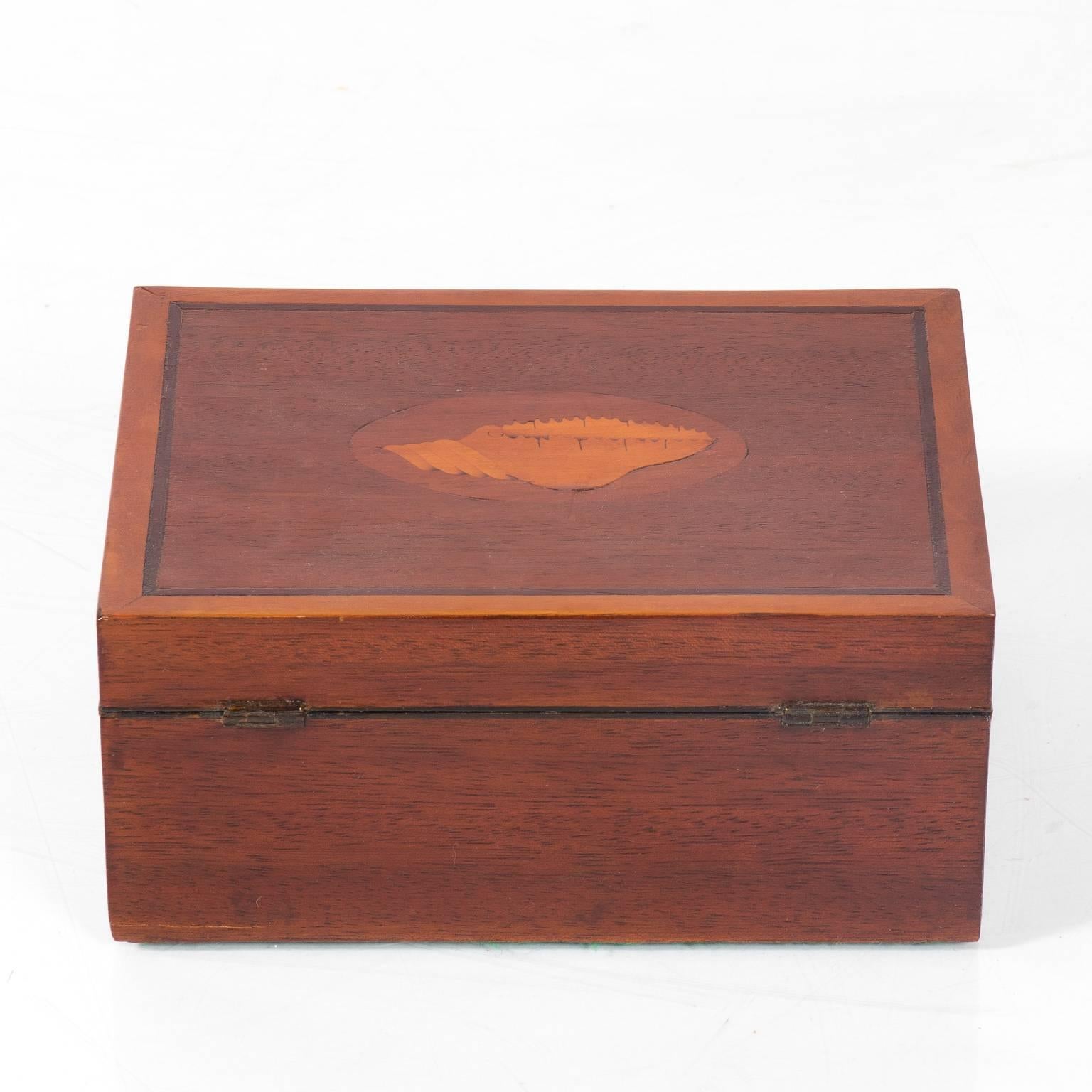 Mahogany Box with Shell Design 5