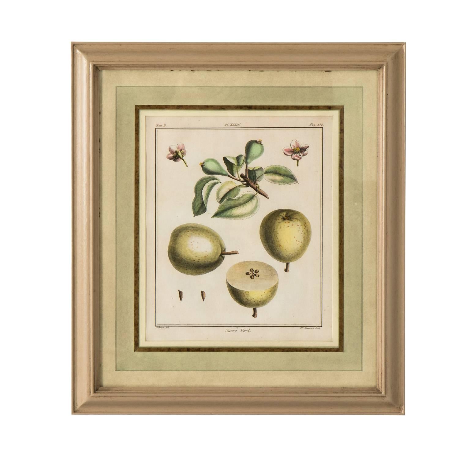 Glass Set of Four Martinet Fruit Engravings