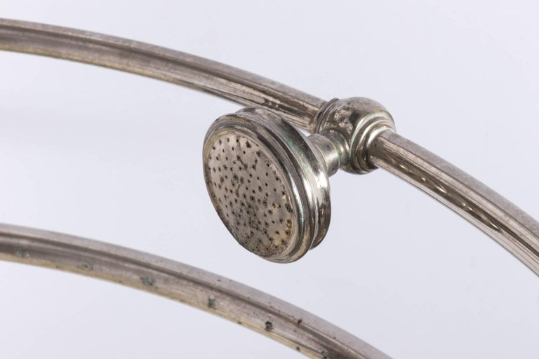 Rib Cage Style Shower at 1stDibs