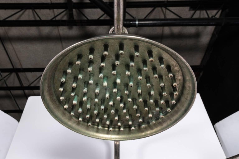Rib Cage Style Shower at 1stDibs