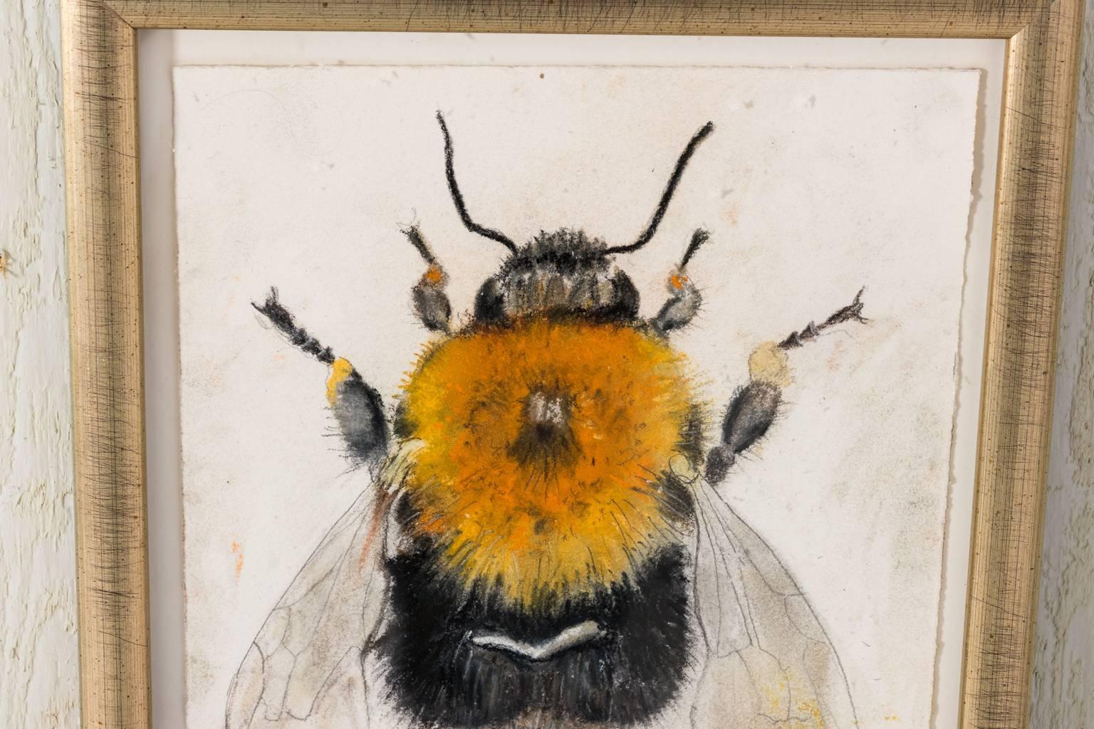 Contemporary pastel drawing of a bee by artist Marianne Stikas.
 