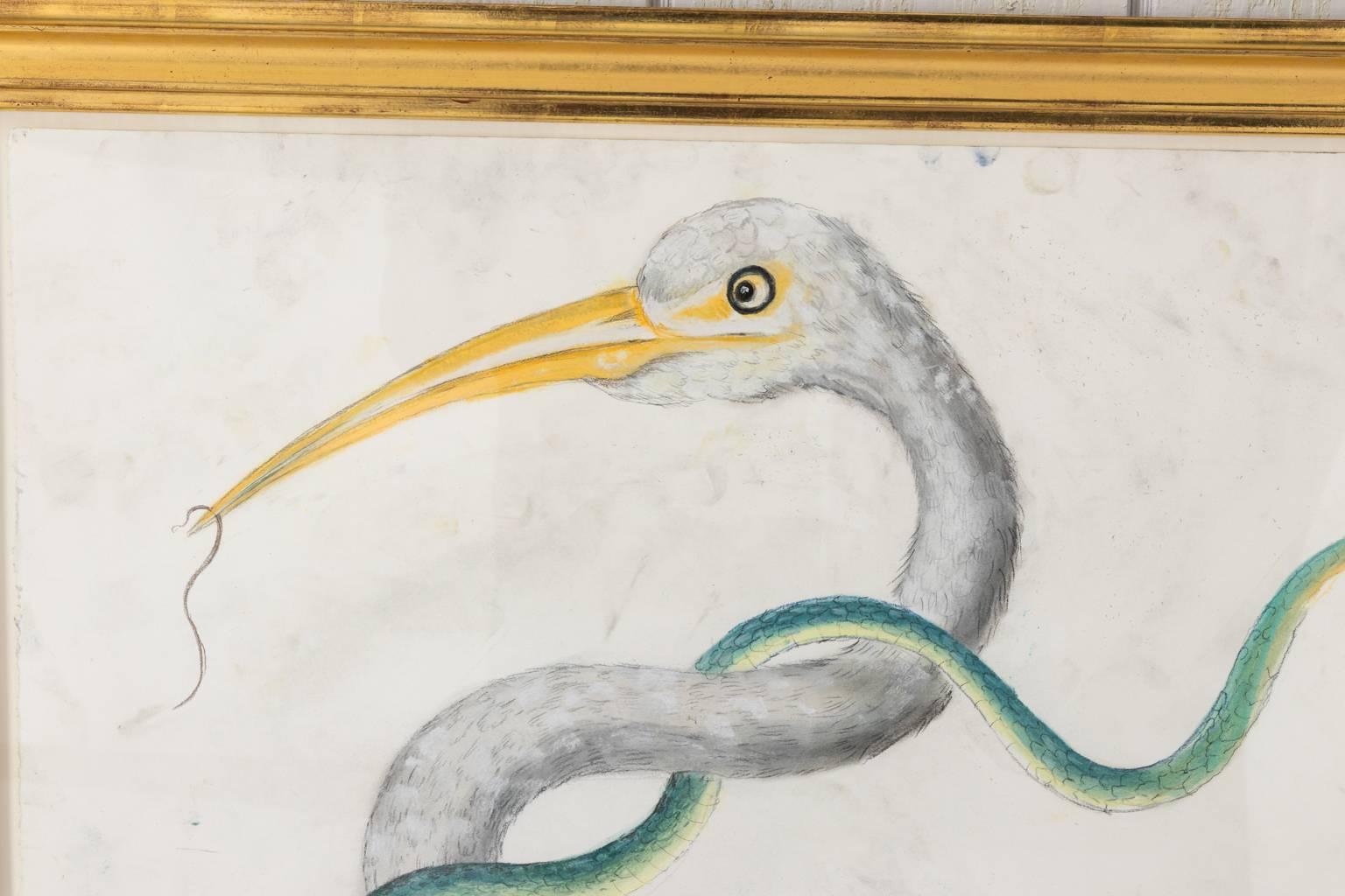 Contemporary pastel drawing of a stork and a coiled snake.
 