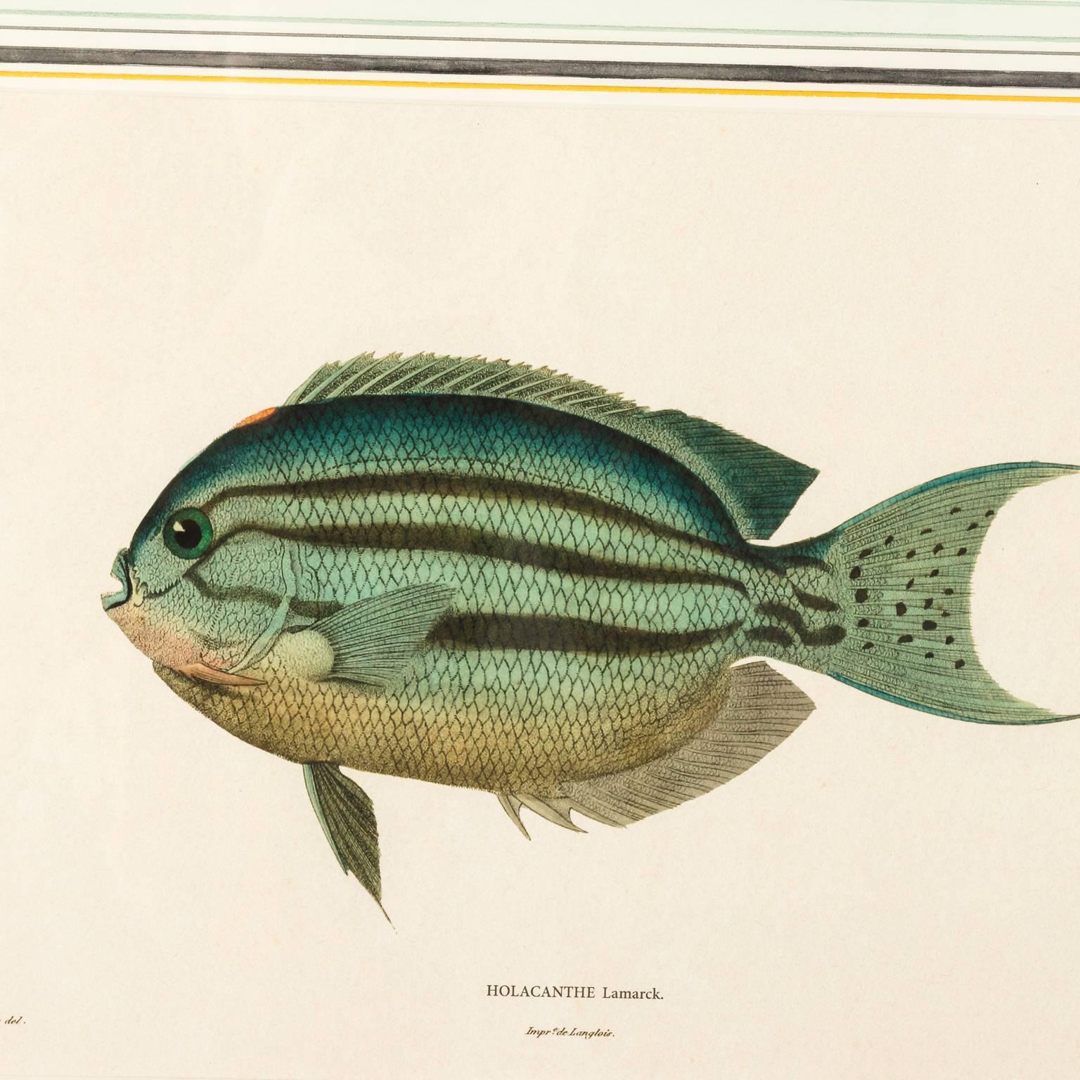 Pair of Fish Lithographs 1