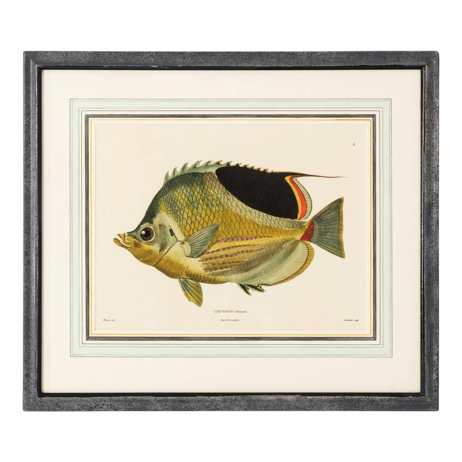 Pair of Fish Lithographs In Good Condition In Stamford, CT