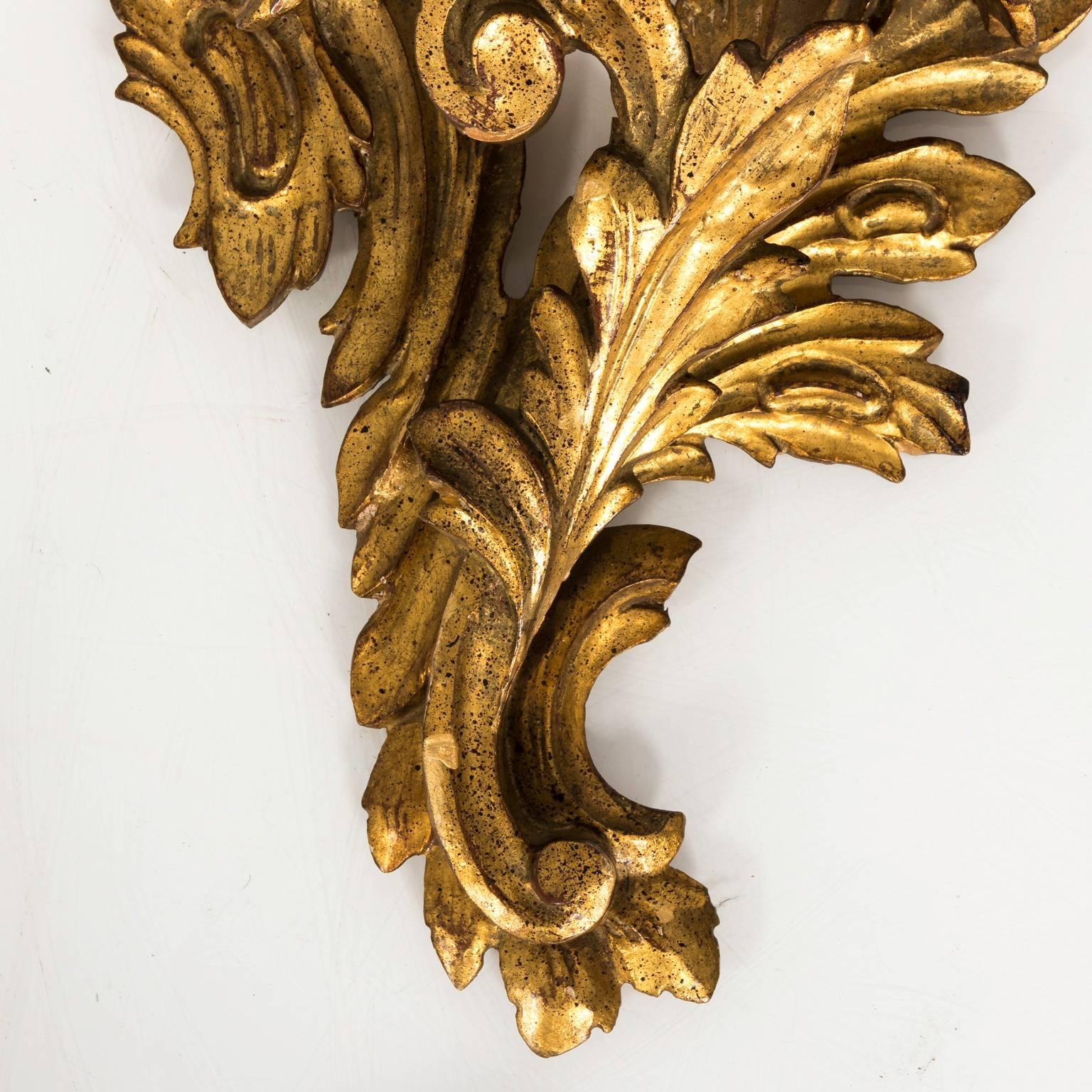 Contemporary pair of Italian carved giltwood acanthus leaf brackets.