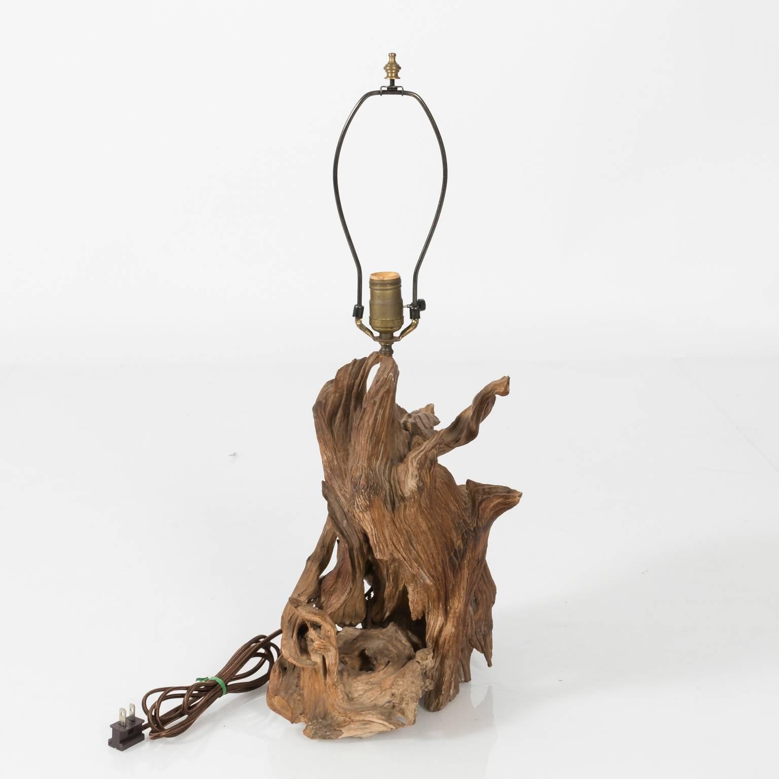 20th Century Midcentury Driftwood Lamp For Sale