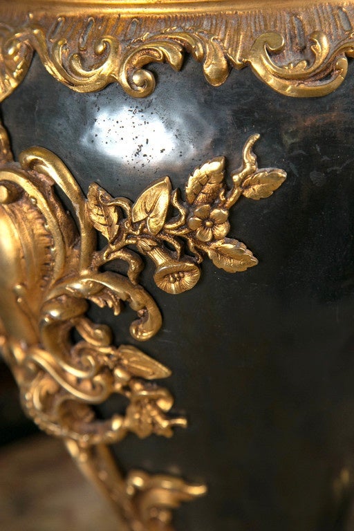 Patinated and Gilt Bronze Decorative Urn 2