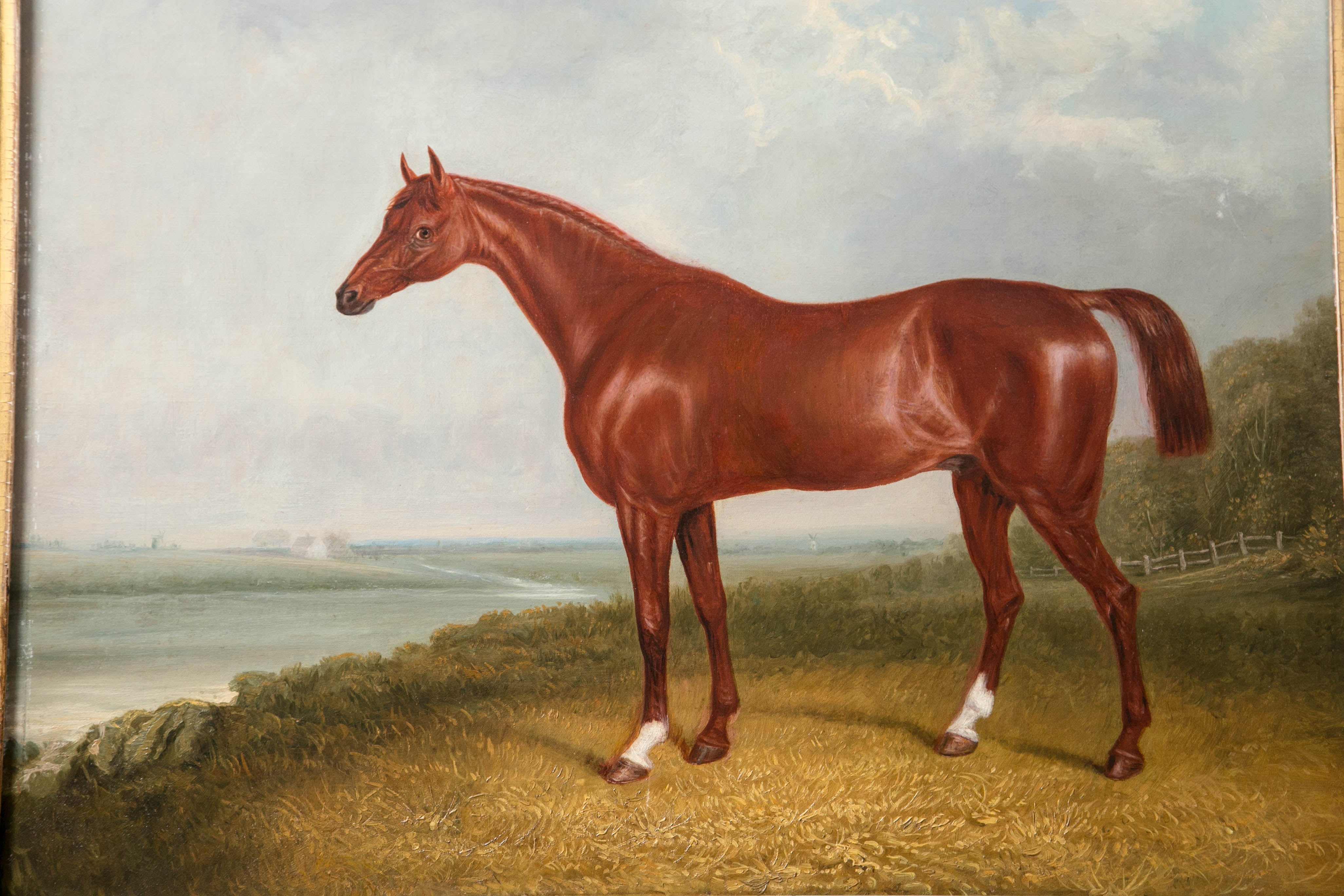 This portrait dates from the early 20th century. The horse has two white socks. Gold colored frame, with chips.