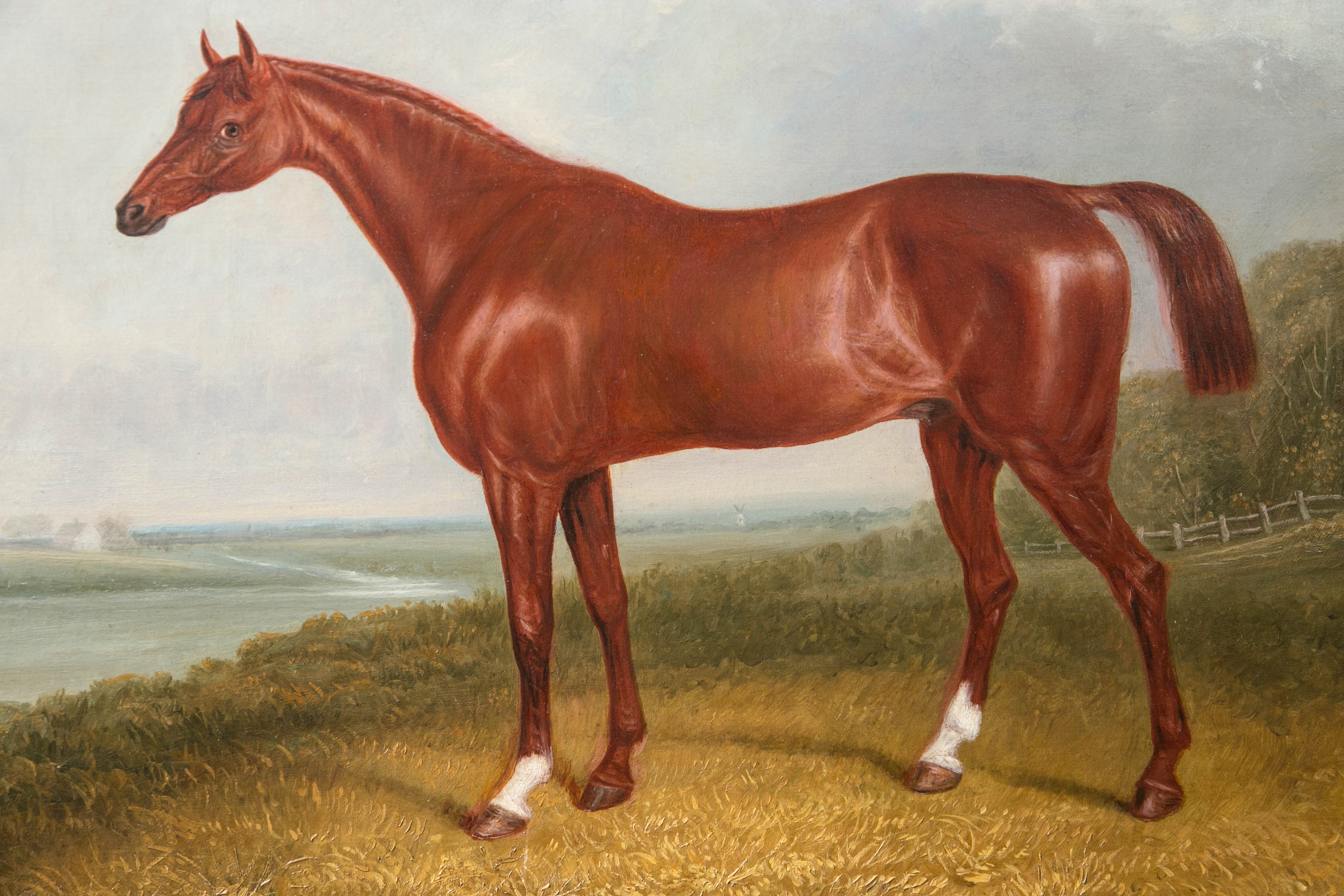 Great Britain (UK) Oil on Canvas Portrait of a Horse