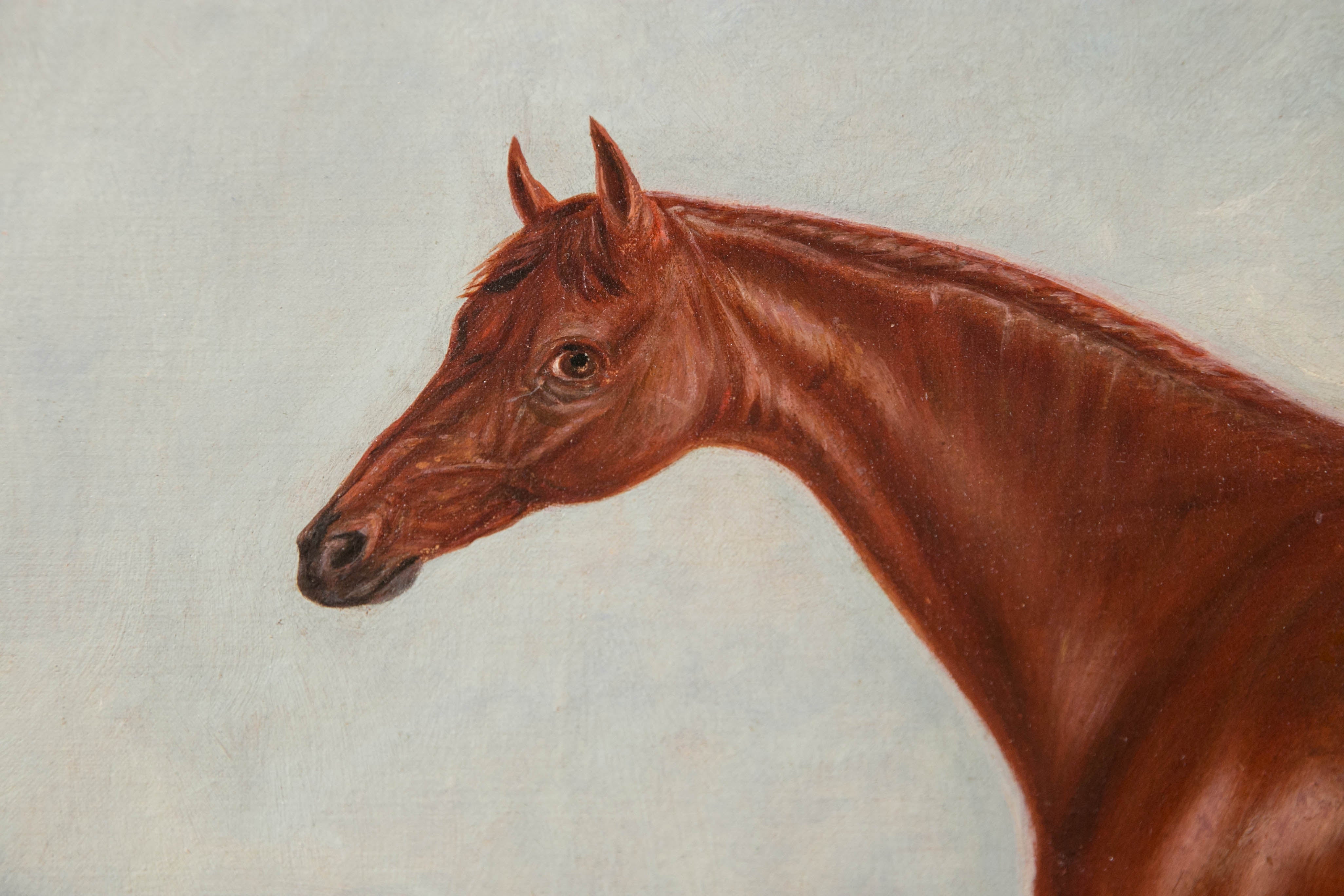 Oil on Canvas Portrait of a Horse In Good Condition In Woodbury, CT