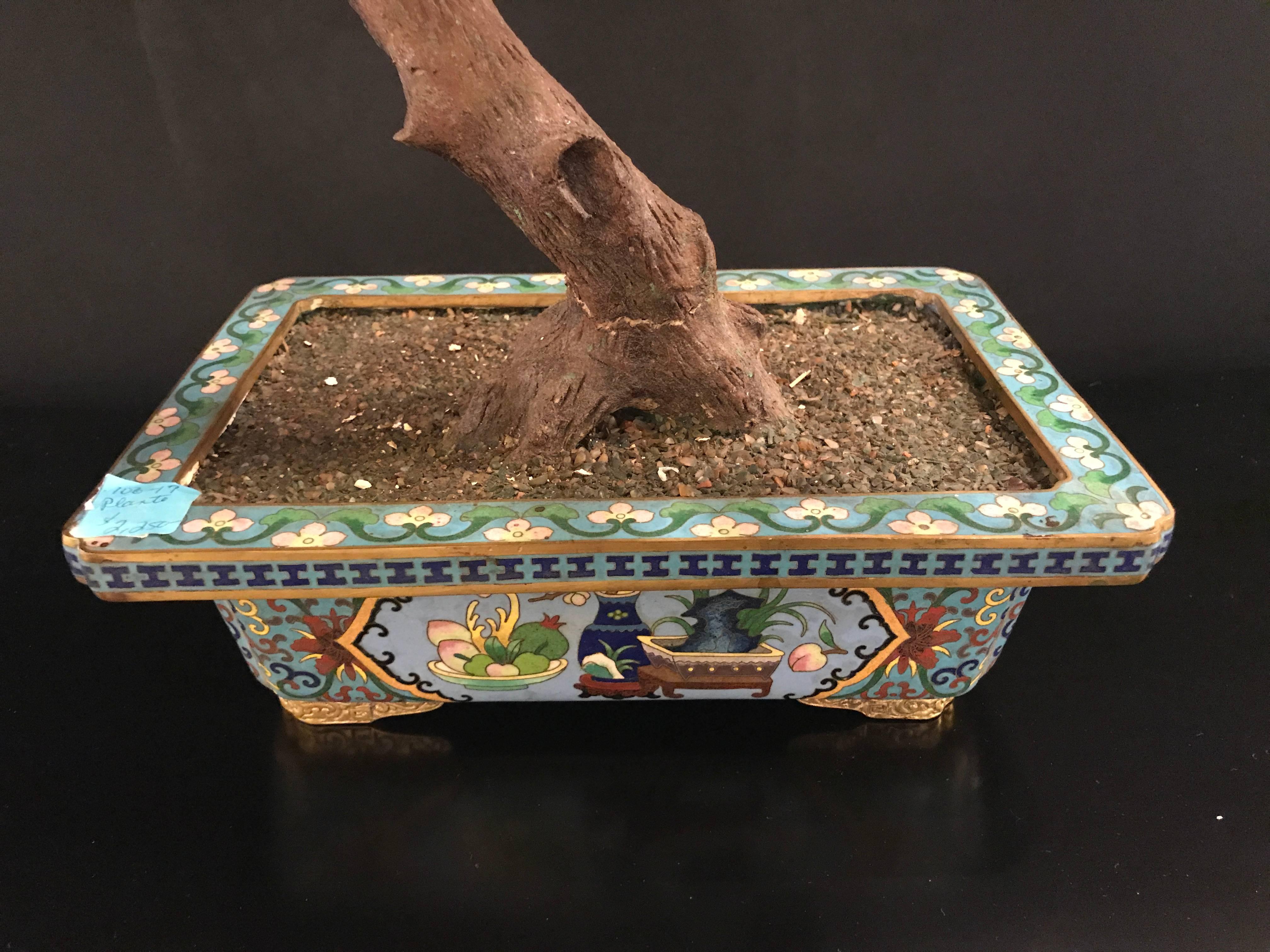 20th Century One Large Chinese Hardstone Tree in Chinoiserie Planter