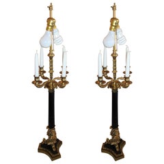 Pair of Bronze Neoclassical Style Table Lamps