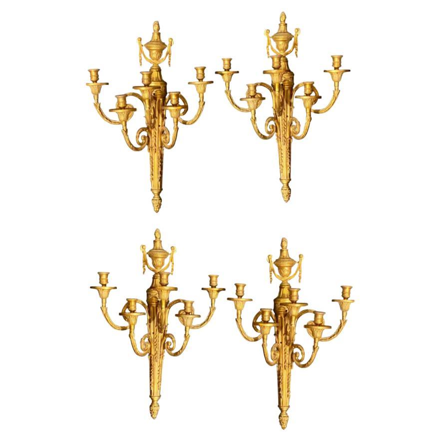 Pair Adams Style Five Arm  Dore Bronze Sconces, Wall Tassel Decorated