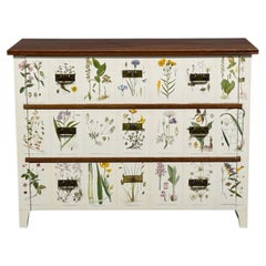 Swedish Modern, Nordens Flora Dresser, Brass, Floral Lithographs, Sweden, 1930s