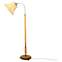 Estilo moderno sueco, lámpara de pie, roble, madera ebonizada, ante, Suecia, década de los 50