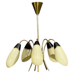 German Modern, Five-Light Chandelier, Brass, Metal, Glass, Germany, 1950s