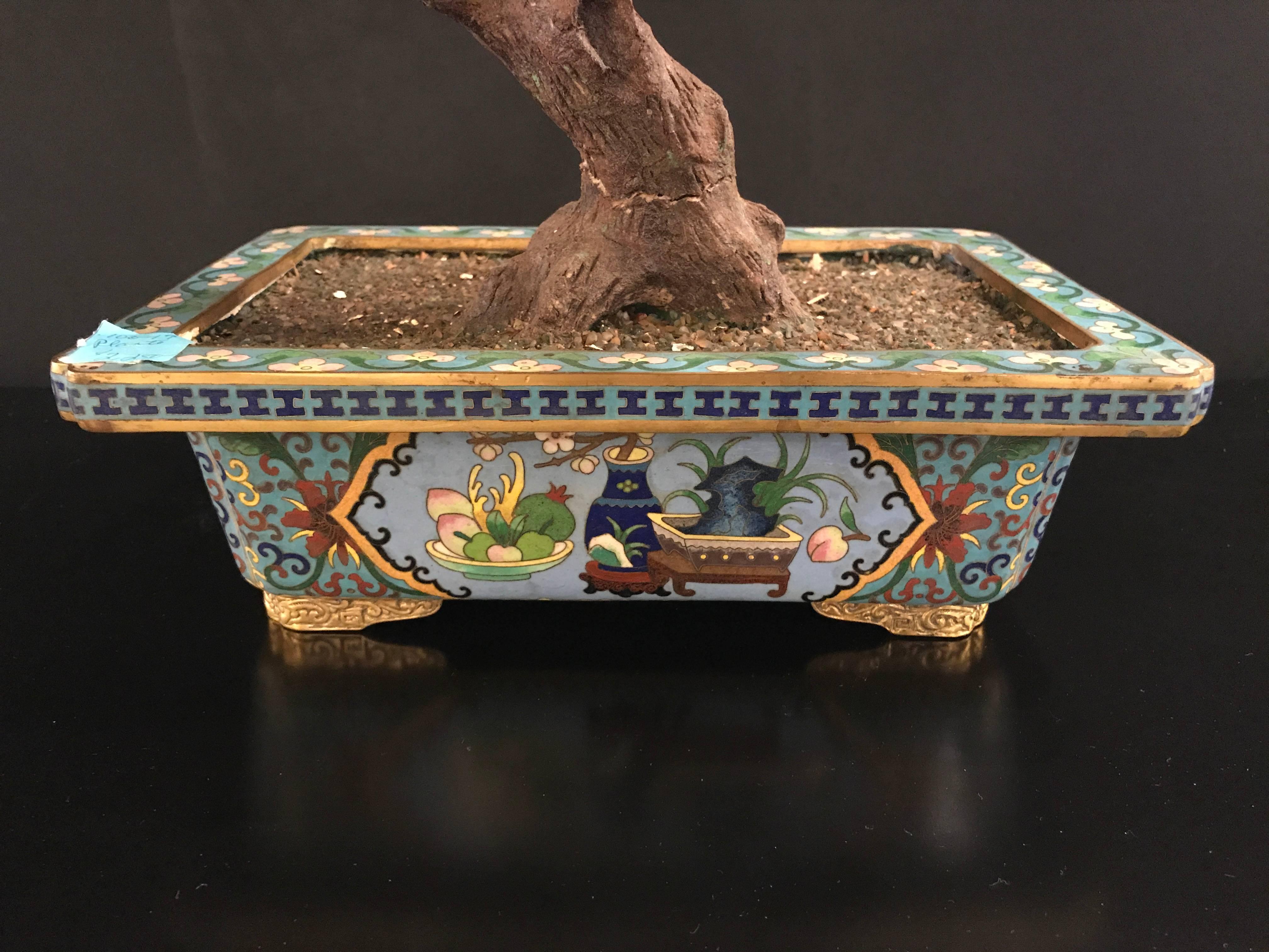 One Large Chinese Hardstone Tree in Chinoiserie Planter 1
