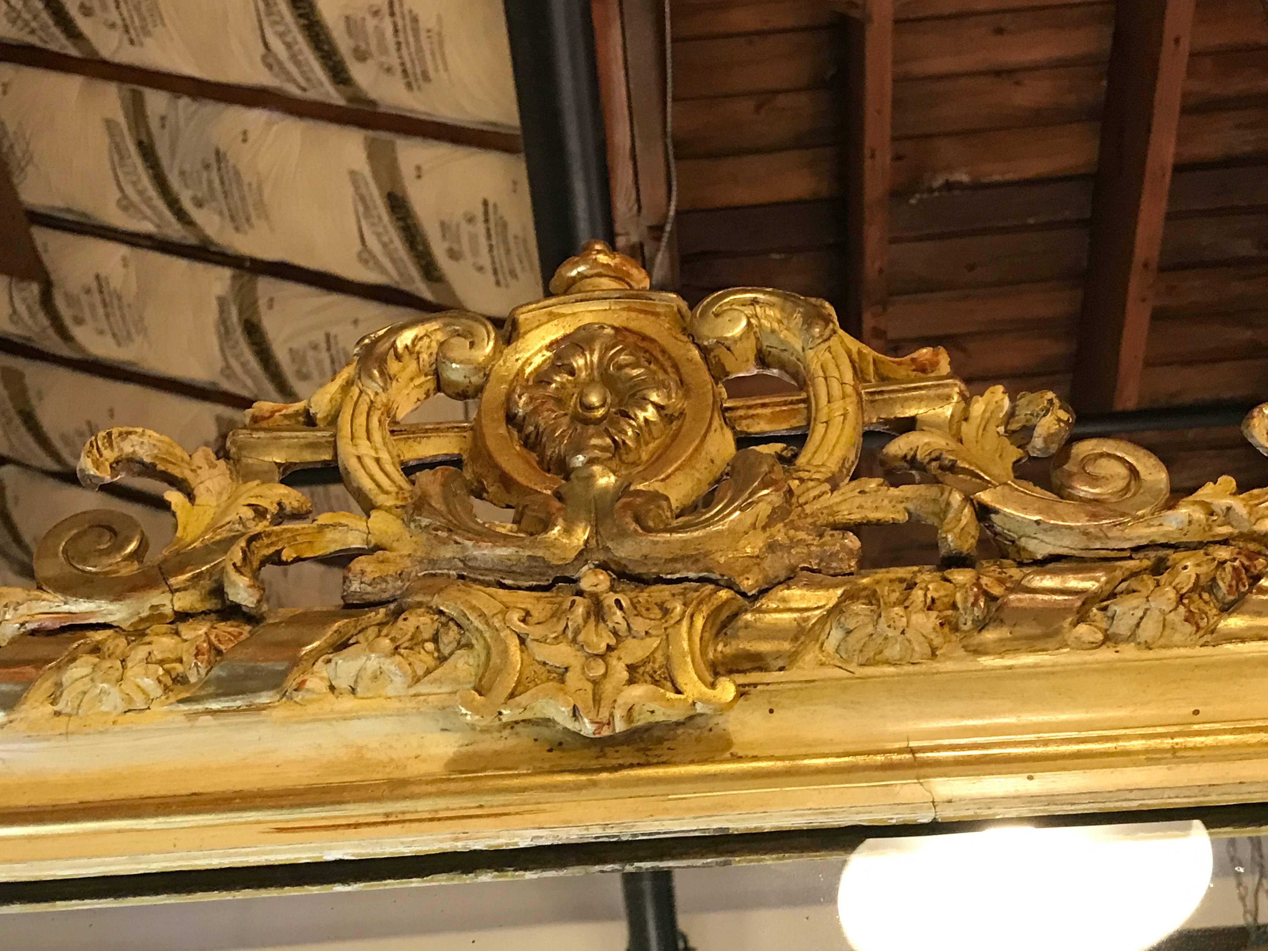19th Century French Louis XVI Style Gilt Mirror with Carved Crest 2